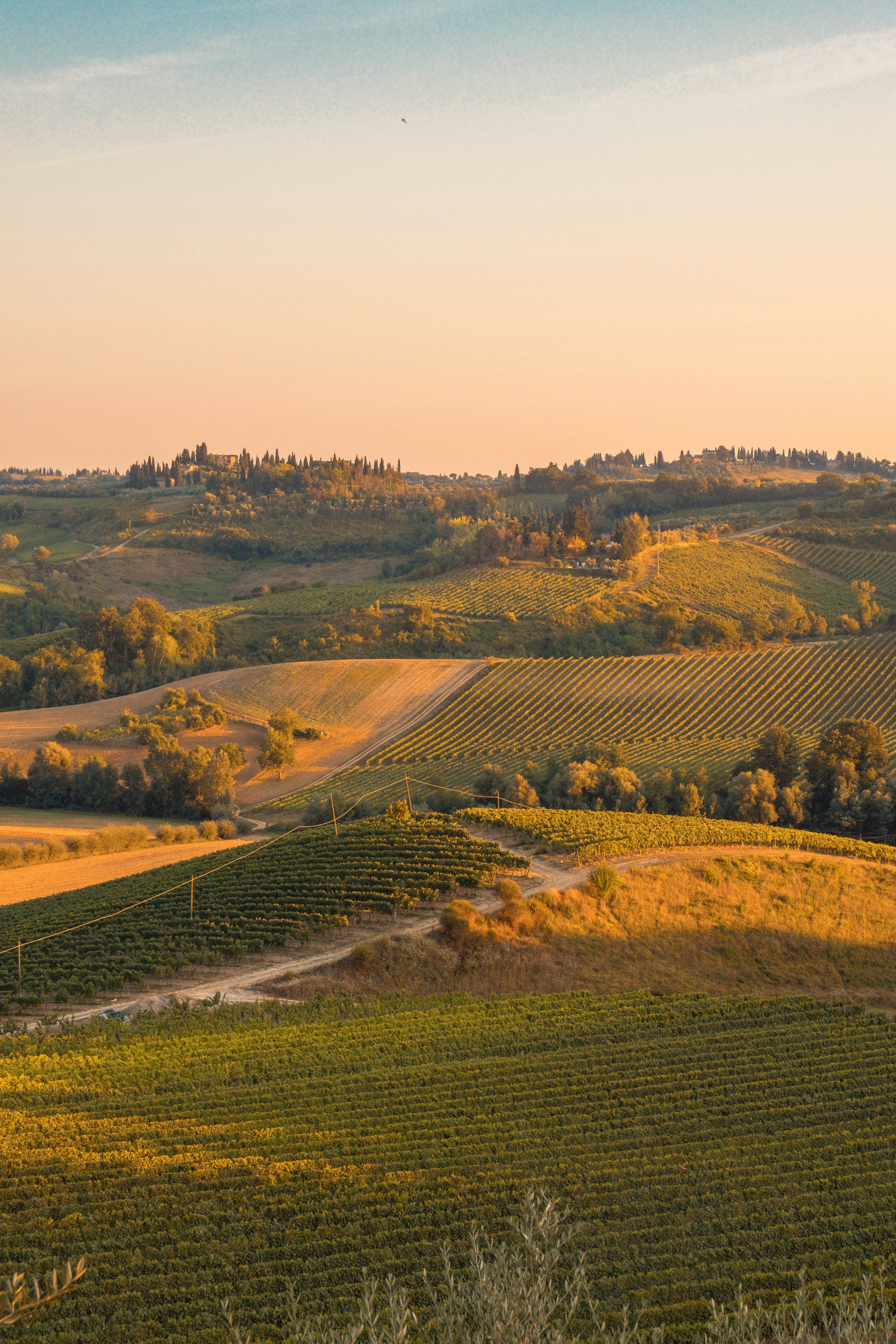 Landscape image of winery